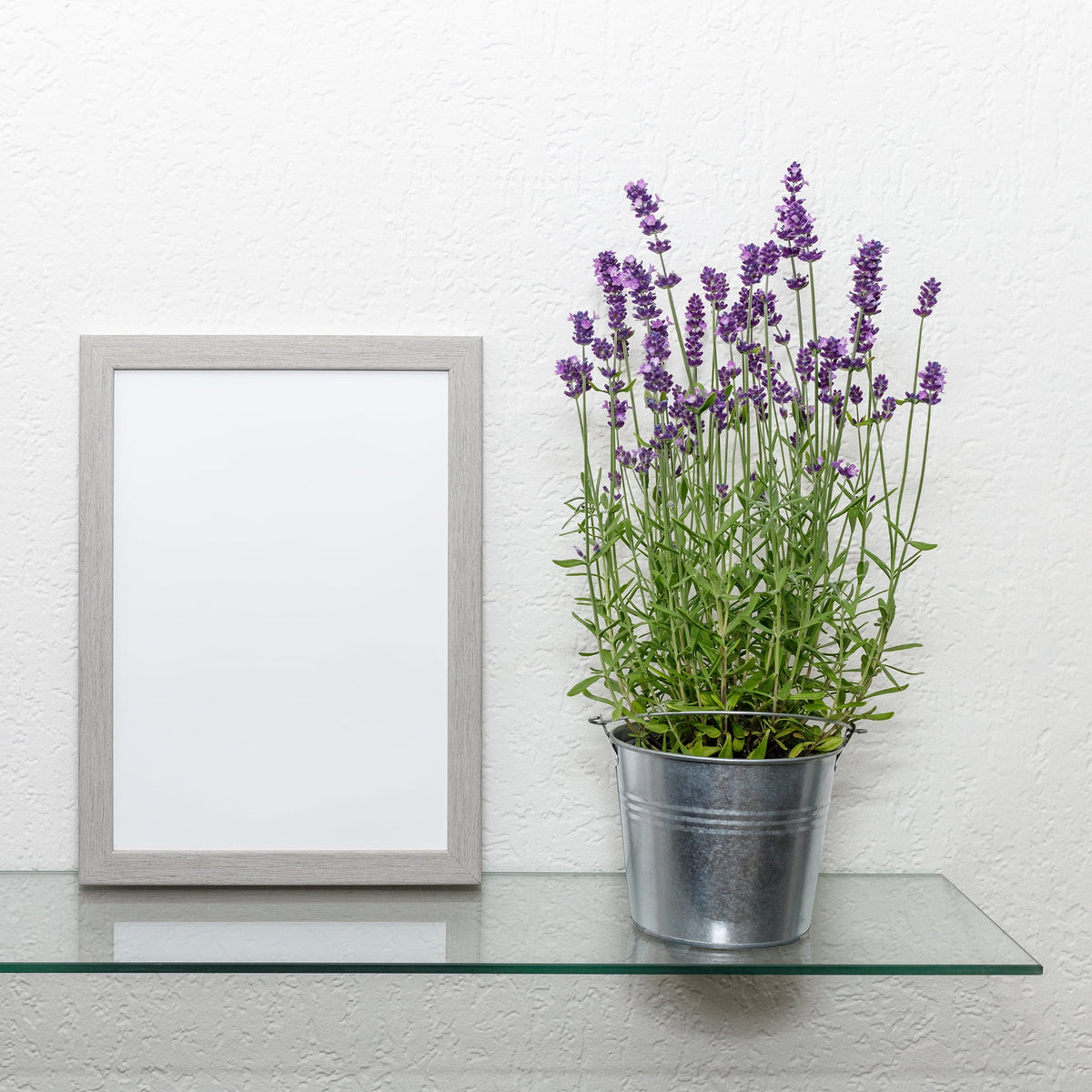 Dulles Glass 12x24 in. Floating Glass Shelf, 1/4 in. Tempered, Flat Polish, Shelf Only, Bathroom